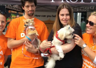 Pets In The City 2016 Photo 6